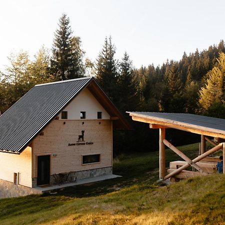 Alpine Cottage Golica Jesenice Kültér fotó