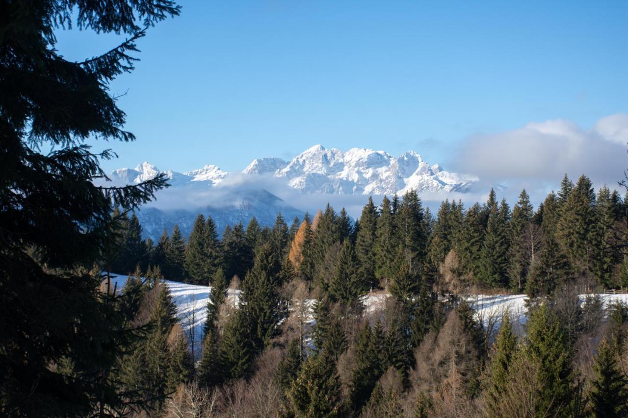 Alpine Cottage Golica Jesenice Kültér fotó