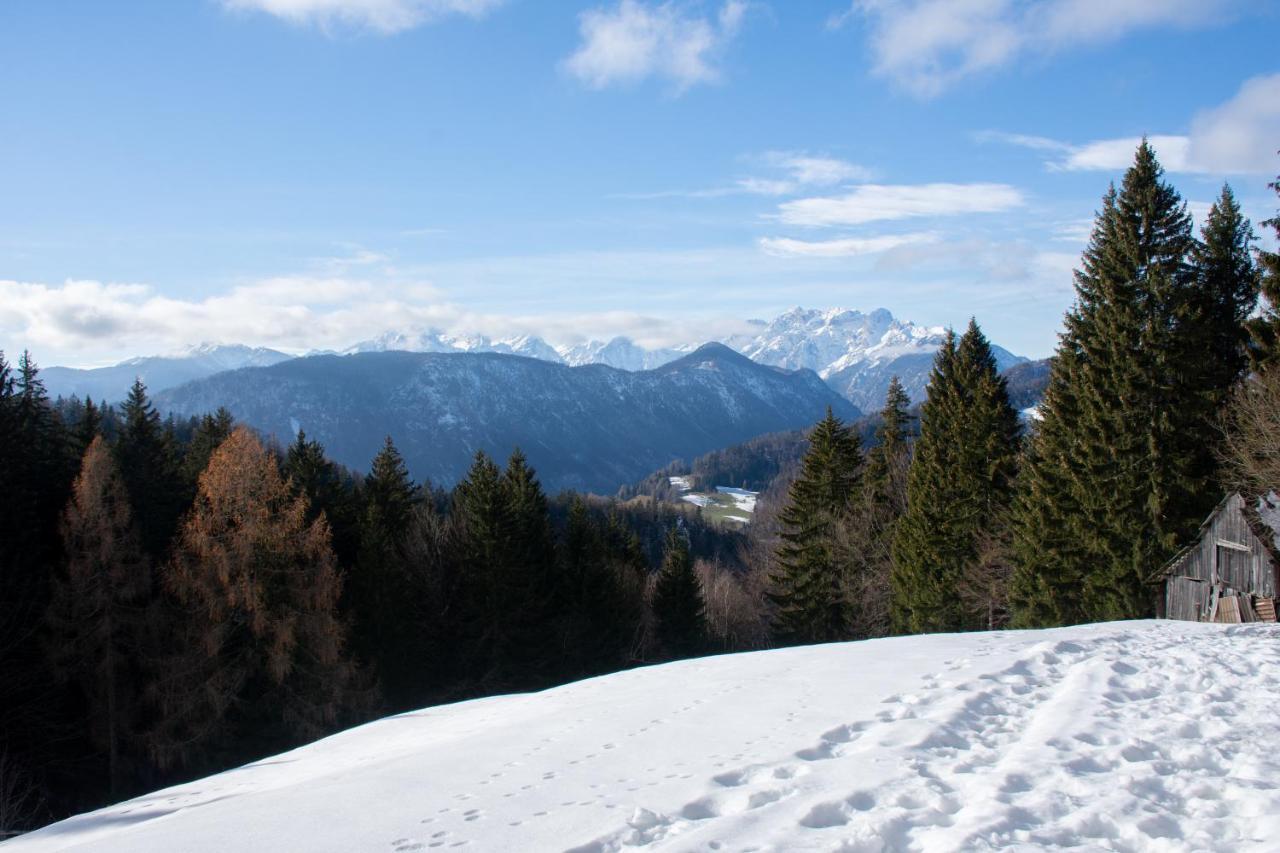 Alpine Cottage Golica Jesenice Kültér fotó
