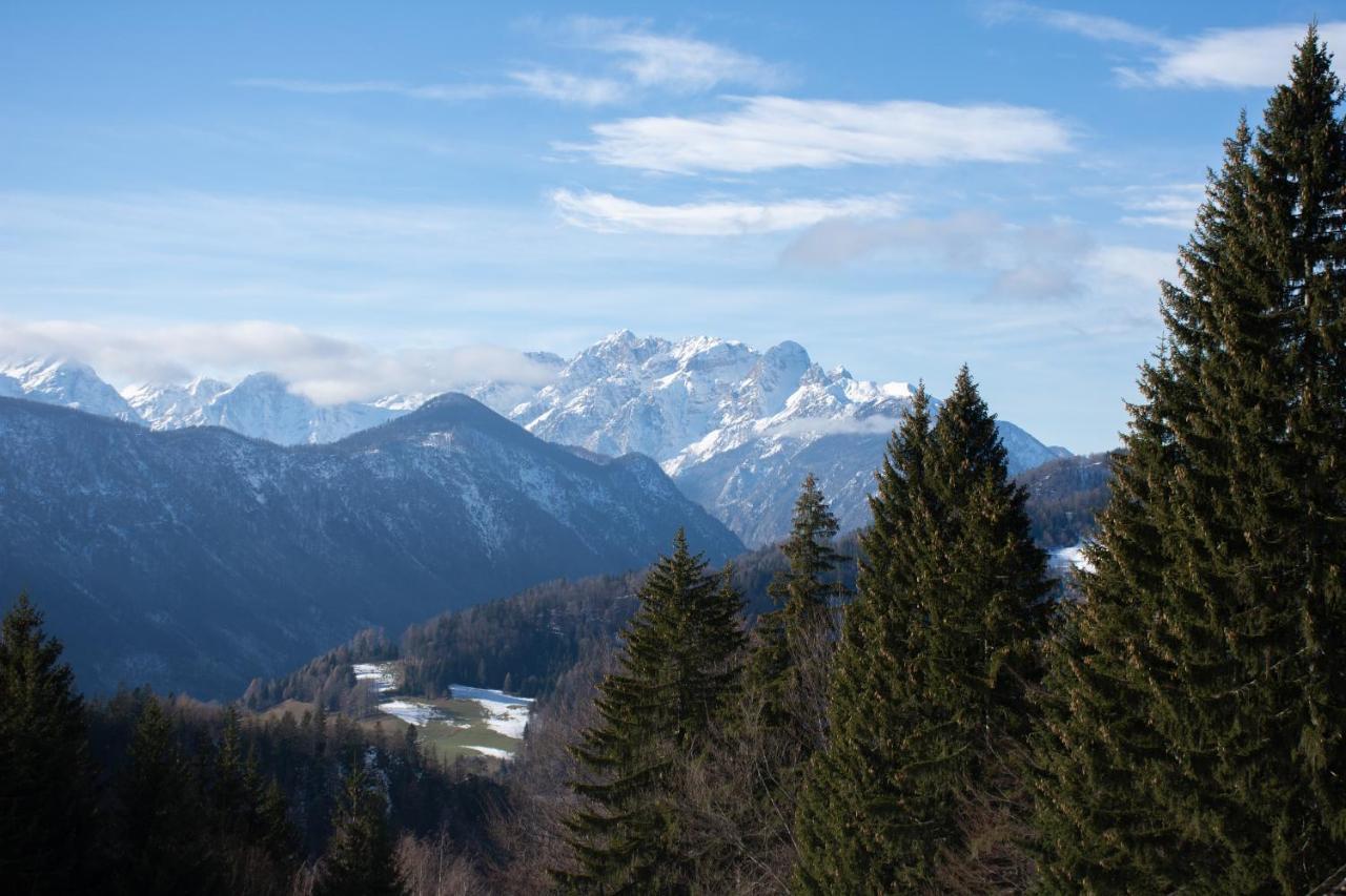 Alpine Cottage Golica Jesenice Kültér fotó