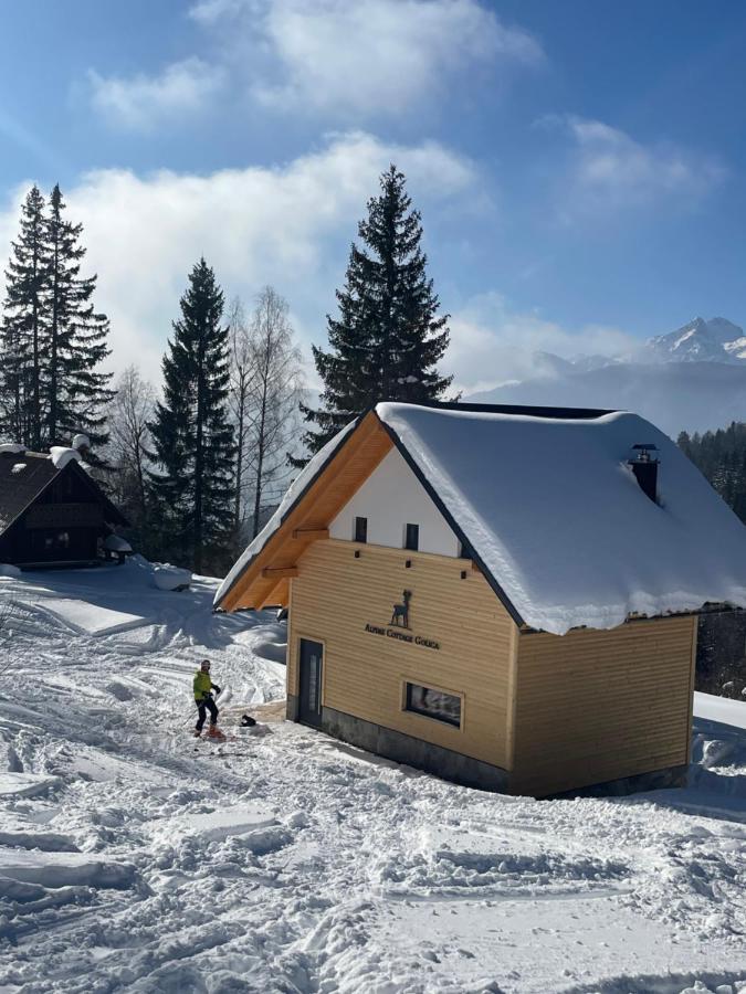 Alpine Cottage Golica Jesenice Kültér fotó