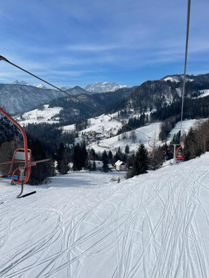 Alpine Cottage Golica Jesenice Kültér fotó